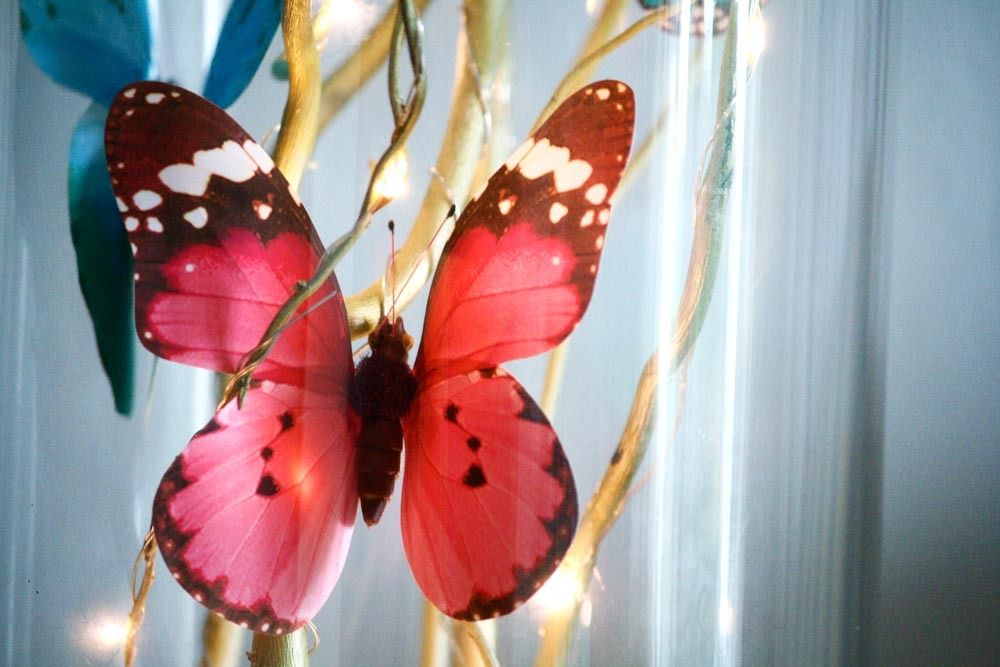  photo butterfly-fairy-lights_zpsqbggkrem.jpg
