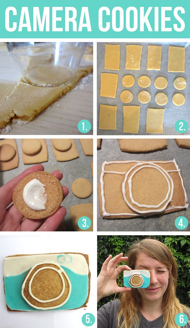  photo camera-cookies-DIY-icing_zpsdbc6970e.jpg