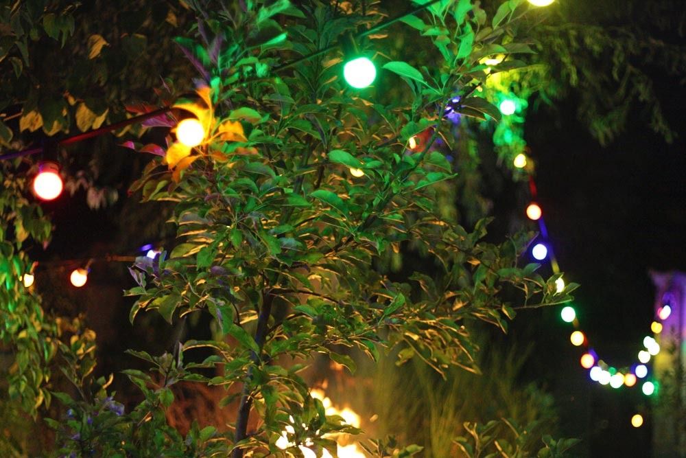  photo garden-party-ideas-2-lights_zps5jvh2qpm.jpg