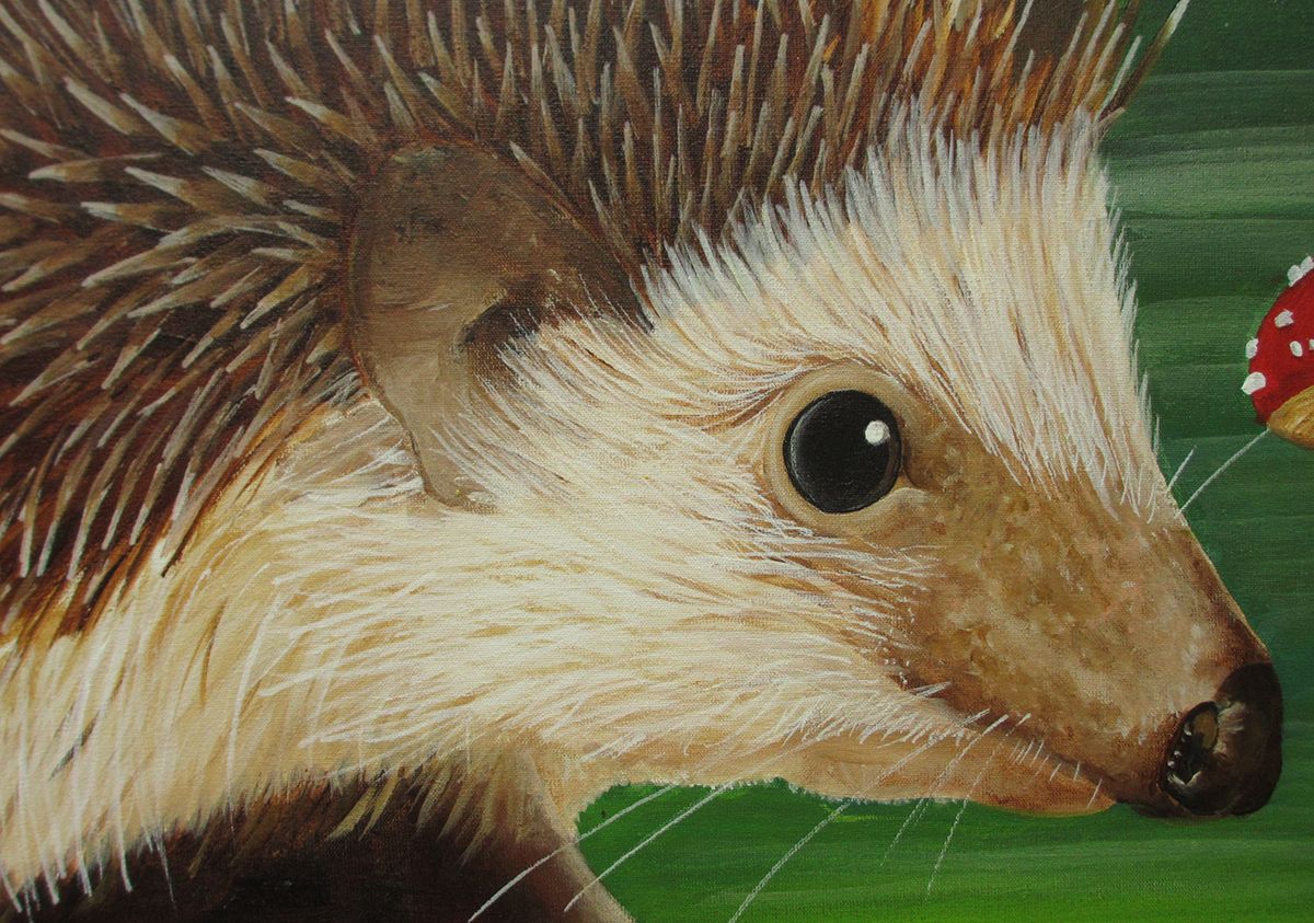  photo hedgehog-painting-head_zps0bb300e1.jpg