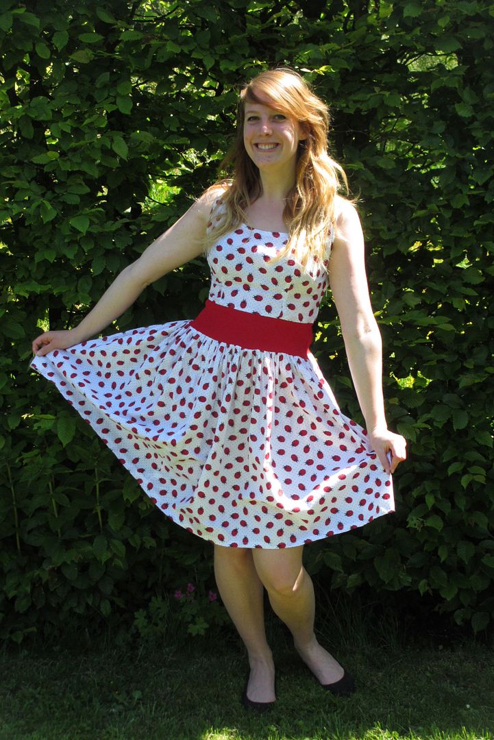  photo homemade-ladybird-dress-1_zps26ca7b99.jpg