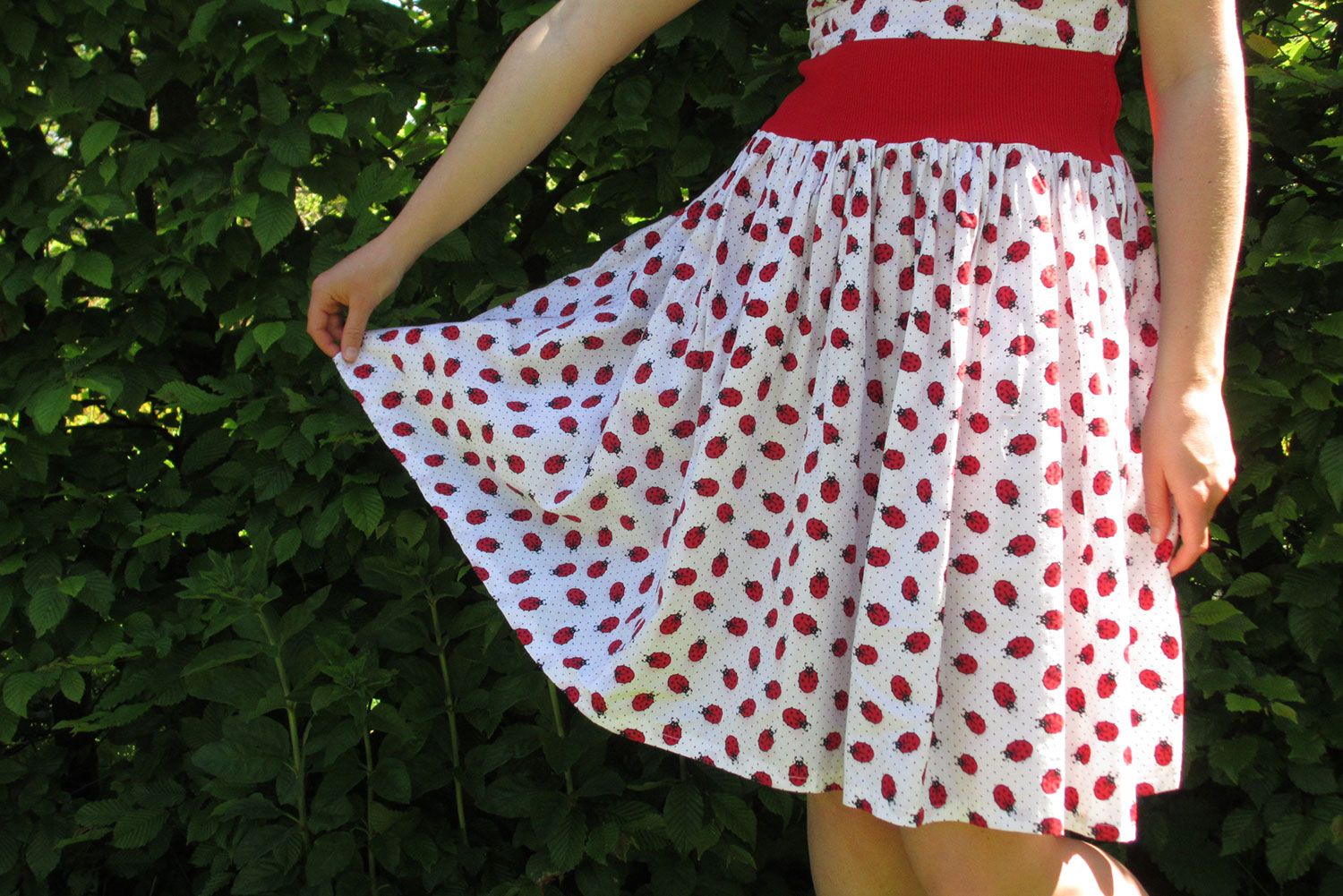  photo homemade-ladybird-dress-3_zpsc672b593.jpg