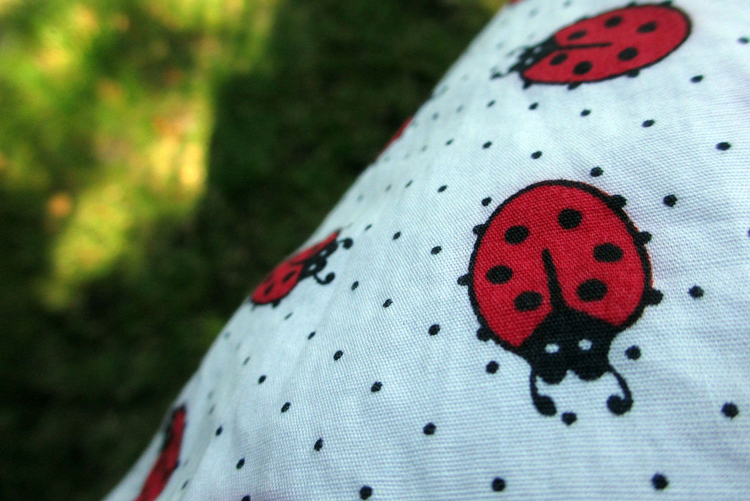  photo homemade-ladybird-dress-5_zpsce9e5cea.jpg