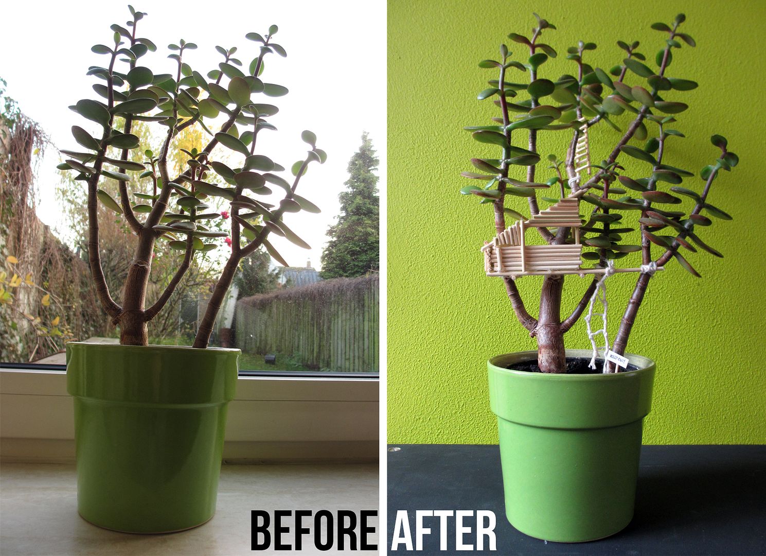  photo mini-treehouse-plant-pot-before-after_zpsceb03660.jpg