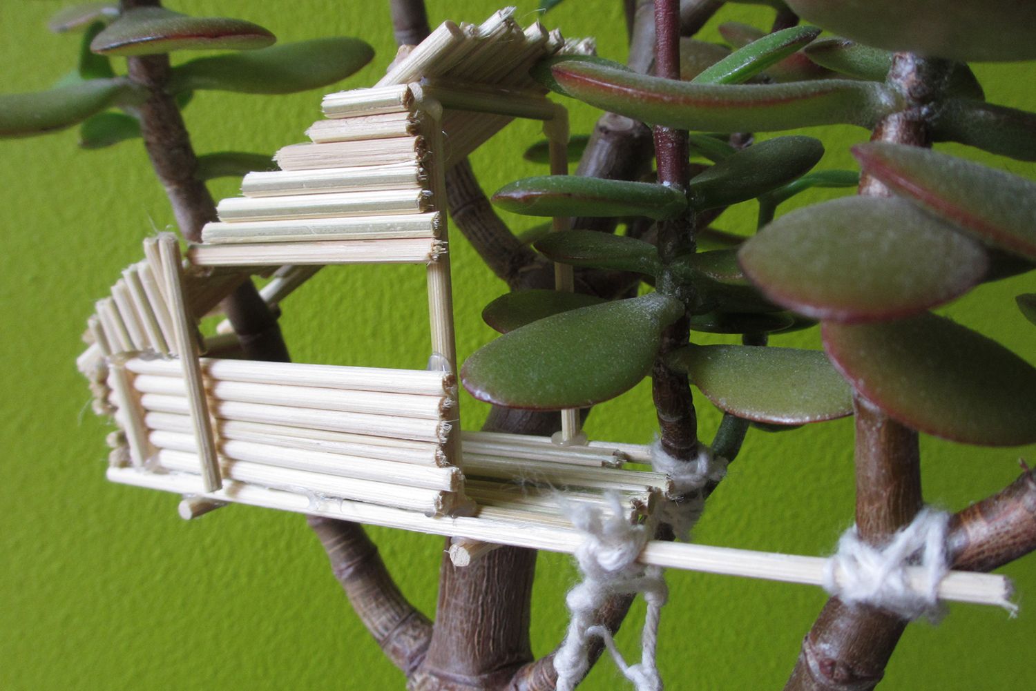 miniature treehouse kit