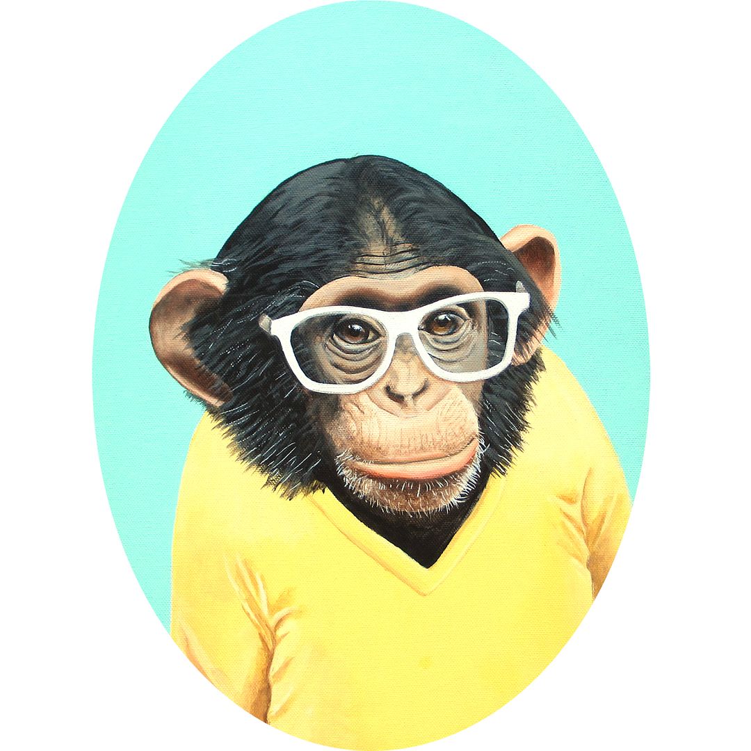  photo monkey-portrait-1_zpsb12919eb.jpg