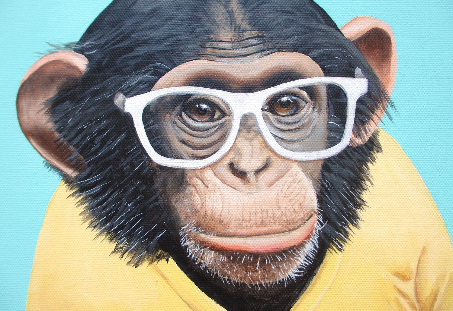  photo monkey-portrait-2_zpsdb0b4347.jpg