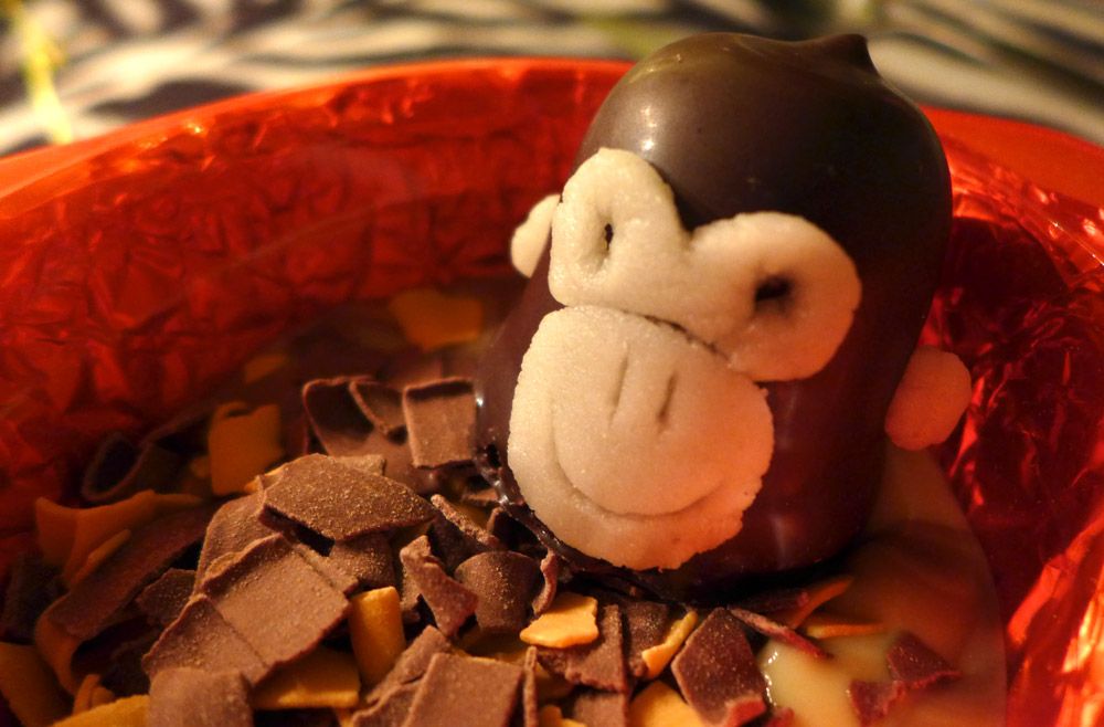  photo robot-safari-theme-dinner-party-monkey-chocolate_zpsckvd6jiw.jpg