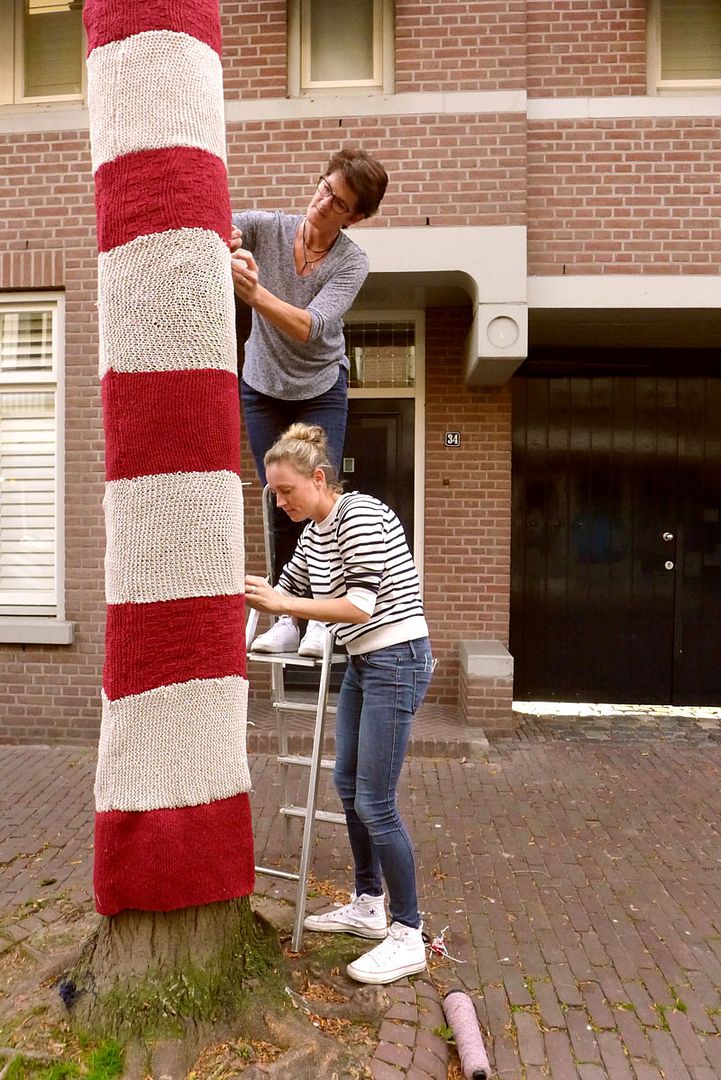  photo yarnbomb-bergstraat-ladder.jpg