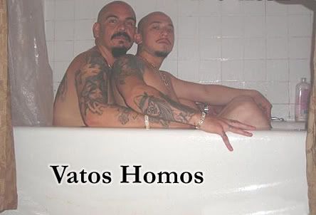 Homos Pictures, Images and Photos