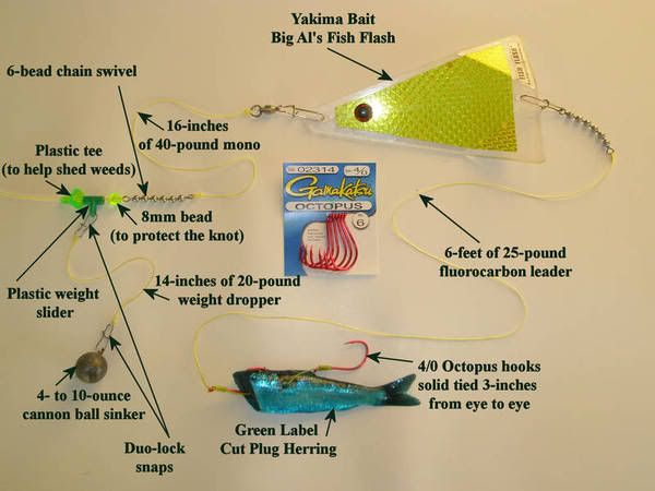 Will This Set Up Work For Salmon Trolling Ifish Fishing Forum