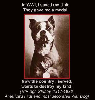 Save Pitbulls