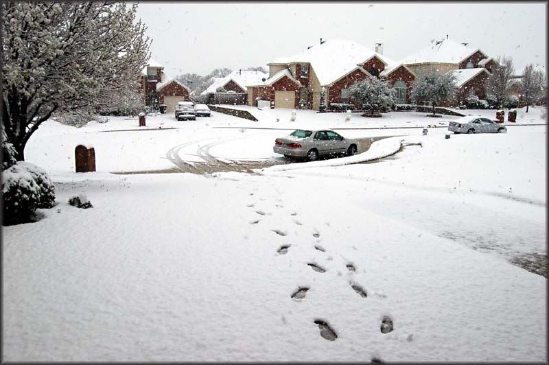 marchsnowA.jpg