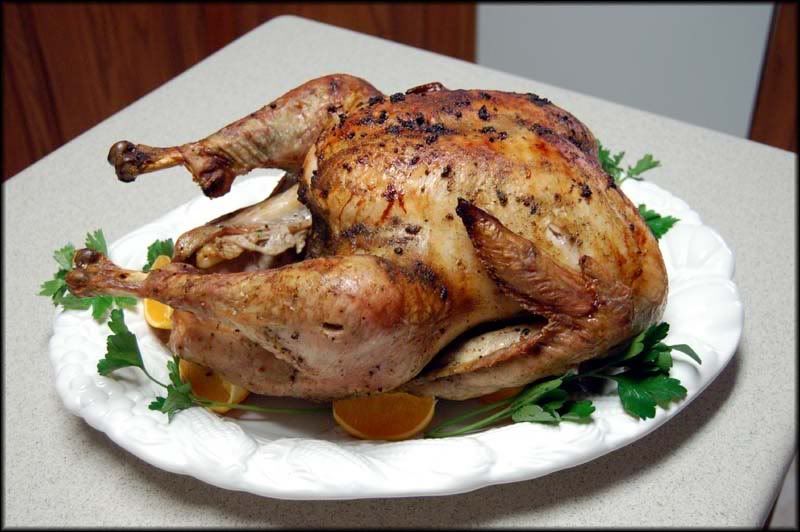 pavo.jpg