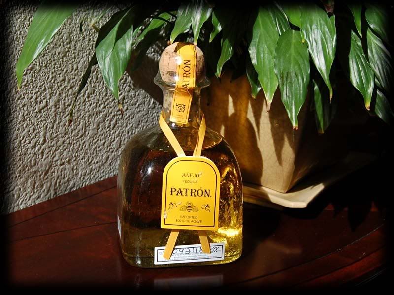 patron2.jpg