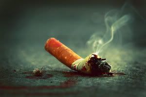 cigg Pictures, Images and Photos