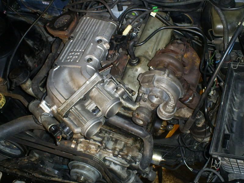 S5031440.jpg