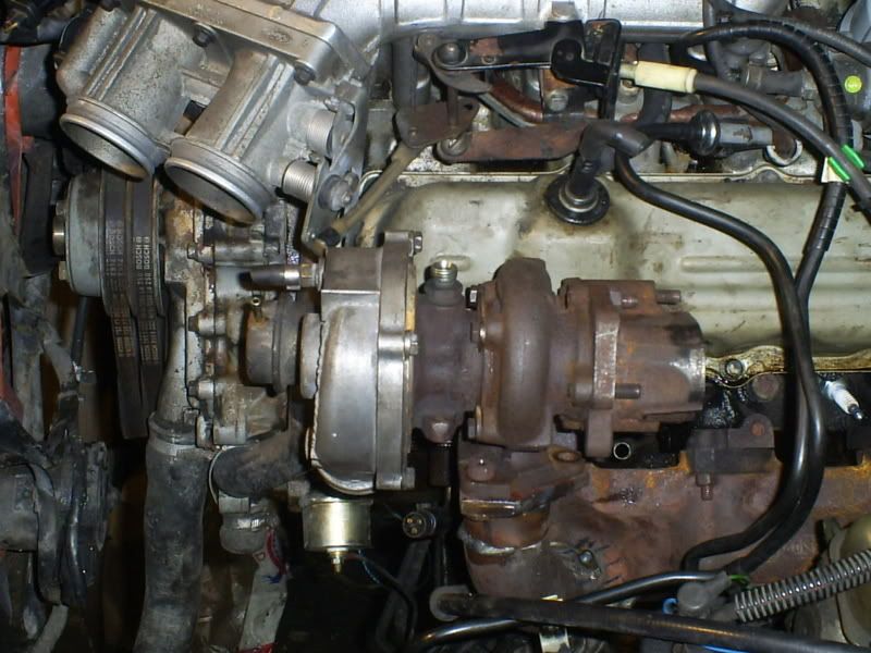 S5031441.jpg