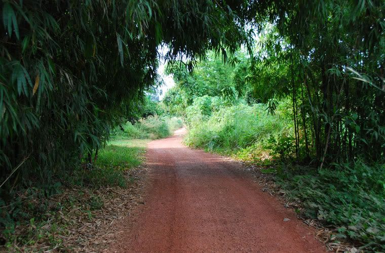 road.jpg