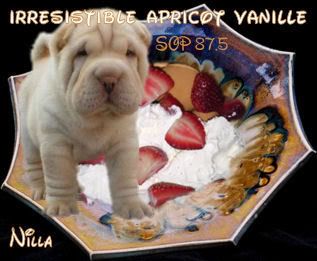 Irresistible Apricot Vanille