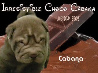Irresistible Choco Cabana