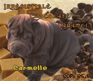 Irresistible Chocolate Caramel