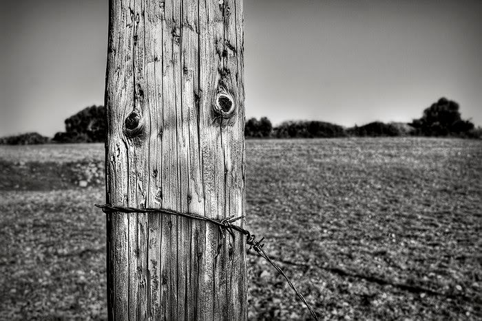 fotografias fotografias