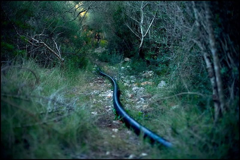 foto sergio vargas