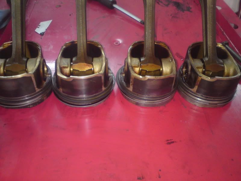 DSC00176.jpg