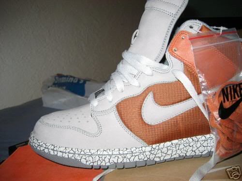 Nike Dunk High