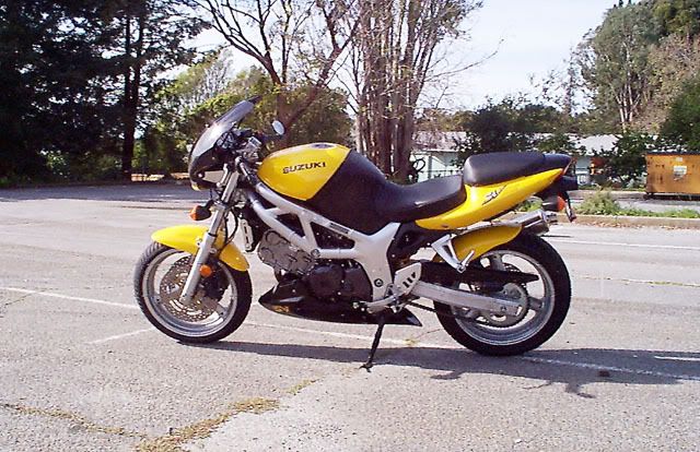 SV6502002.jpg