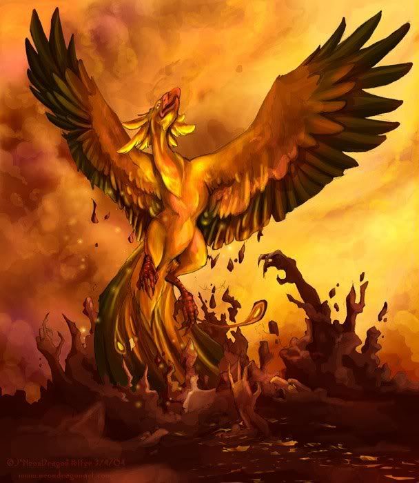 phoenix_rising.jpg?t=1250105606