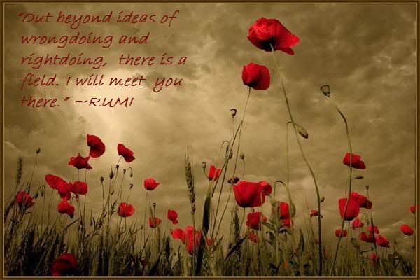 rumi,quotes,photography