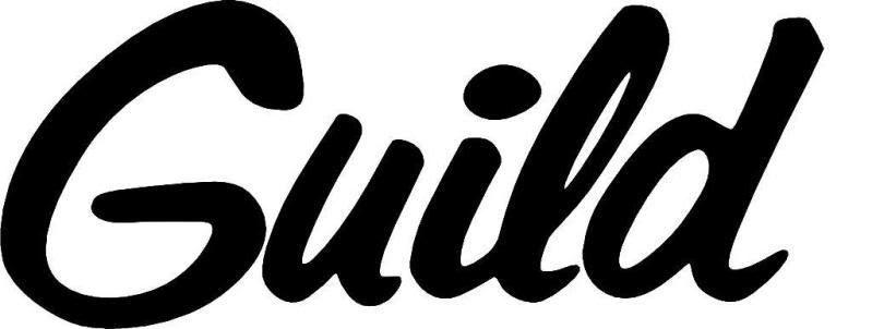 guild_script_logo.jpg