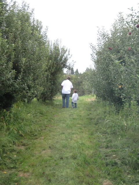 appleorchard8.jpg