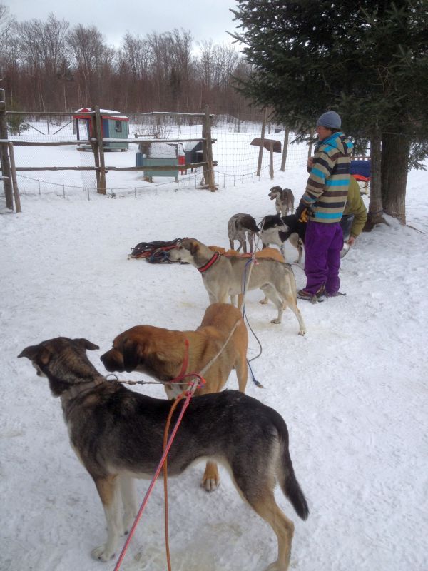  photo dec23121132_zpsd834872d.jpg