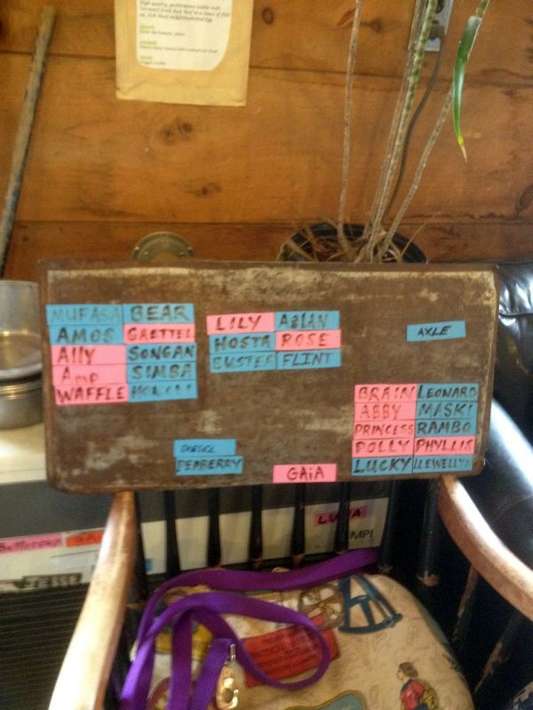  photo dec23121139_zps859edaa7.jpg