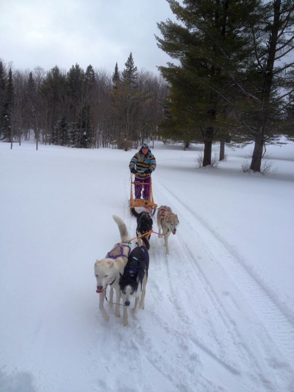  photo dec23121161_zpscd65917c.jpg