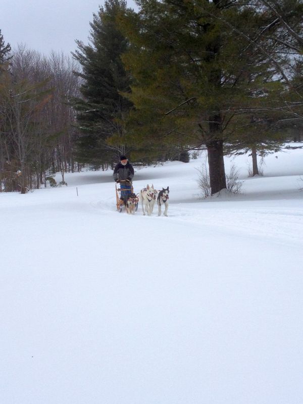  photo dec23121170_zpsb5d0cb3d.jpg