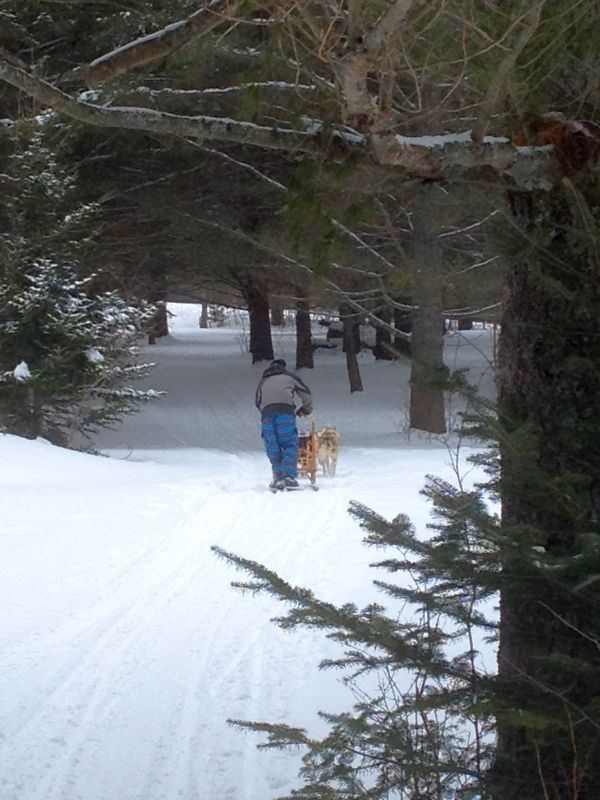  photo dec23121176_zpsaac4bb96.jpg