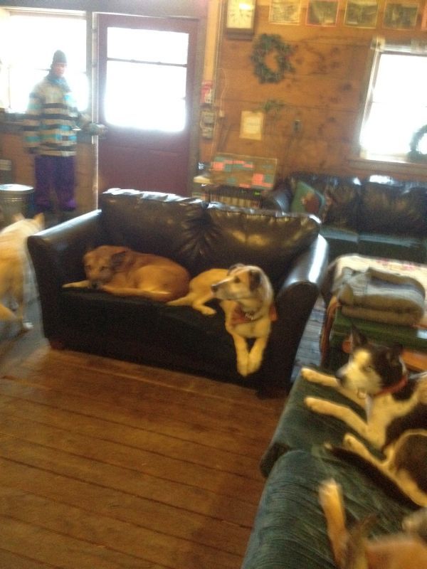  photo dec23121182_zpsf8a00eba.jpg