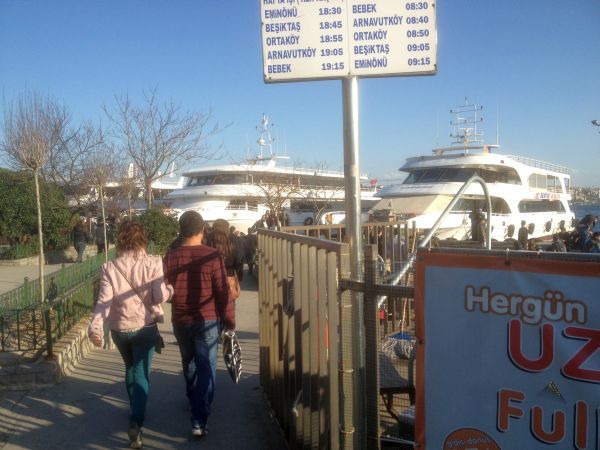 photo mar1013070_zps741f6bfb.jpg