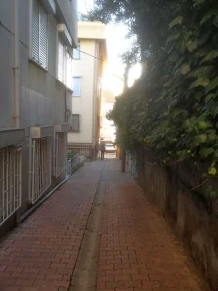 photo mar1013094_zps67e564f9.jpg