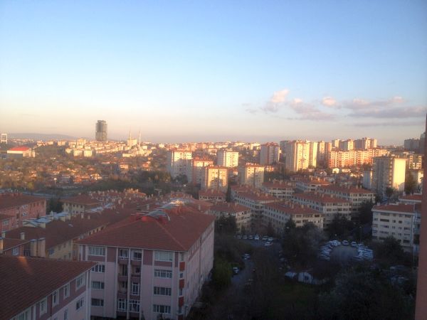 photo mar1013098_zpse25cd79f.jpg