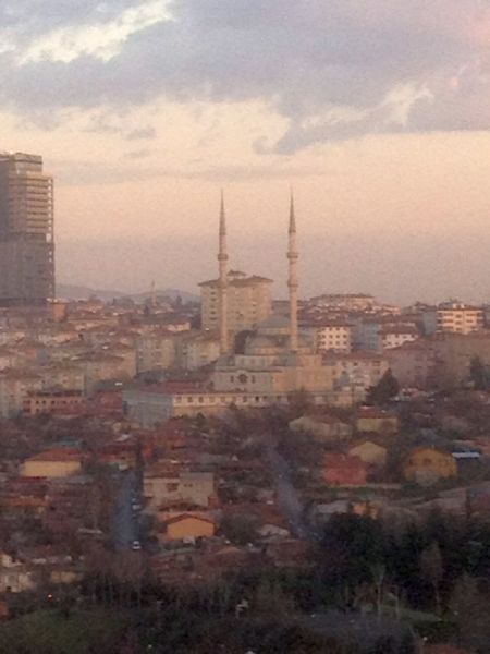 photo mar1013101_zps90ee8d39.jpg