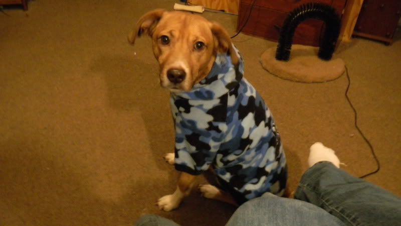 Toby's new hoodie