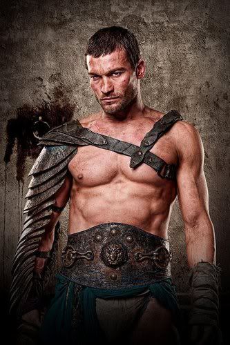 spartacus-andy-whitfield-17531144-333-500.jpg