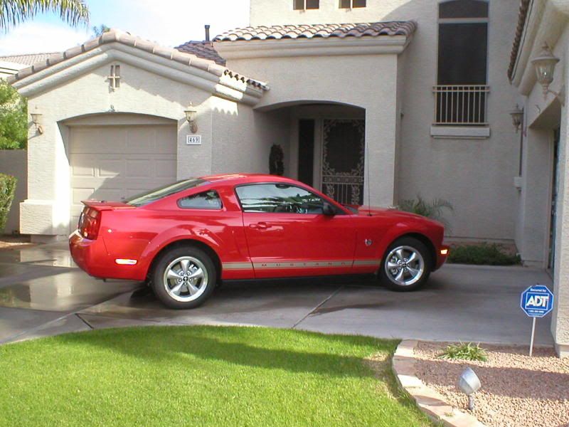 Mustang017.jpg