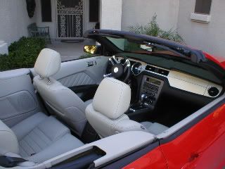 P1010002-1.jpg