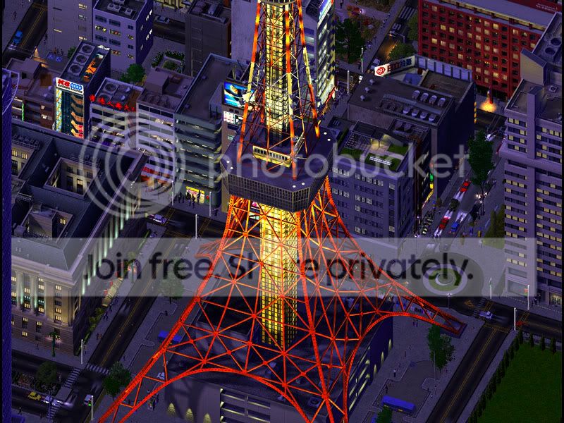 t5.jpg